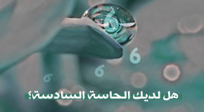 الحاسة السادسة - مفهوم وشرح الحاسة السادسة 6120 2