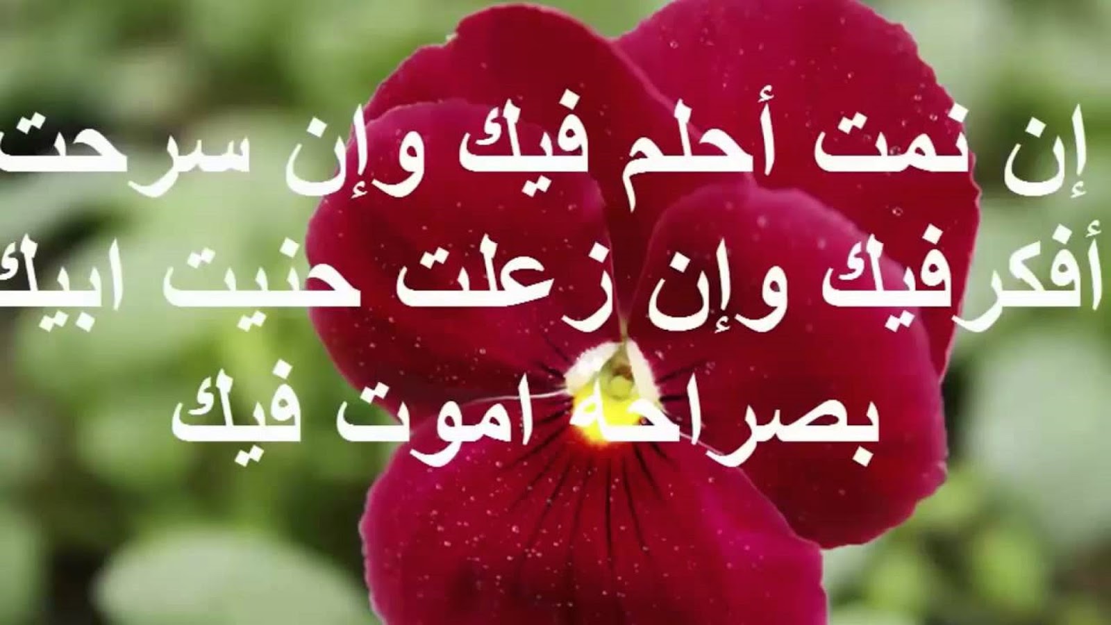 احسن رسائل حب - اجمل رسائل حب وغرام 4770