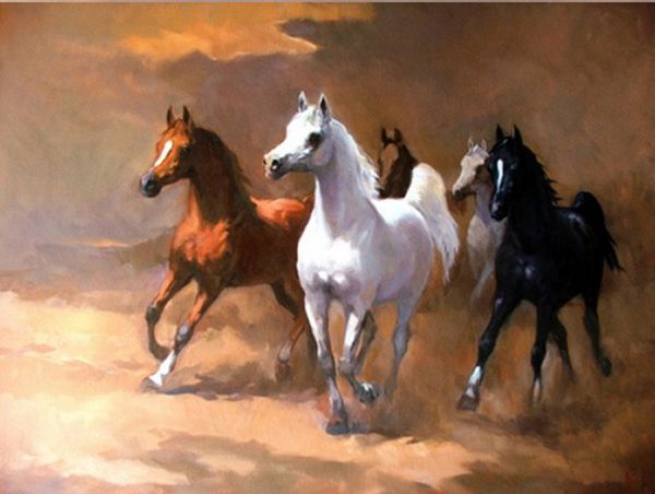 حصان عربي - اجمل خيل عربى اصيل 4458 14