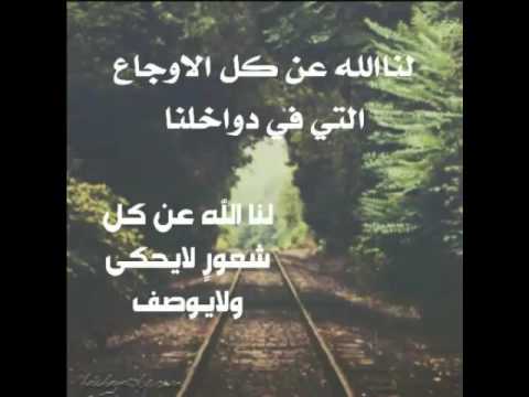 زهور الكلمات - صور اجمل واروع زهور الكمات 1845 2