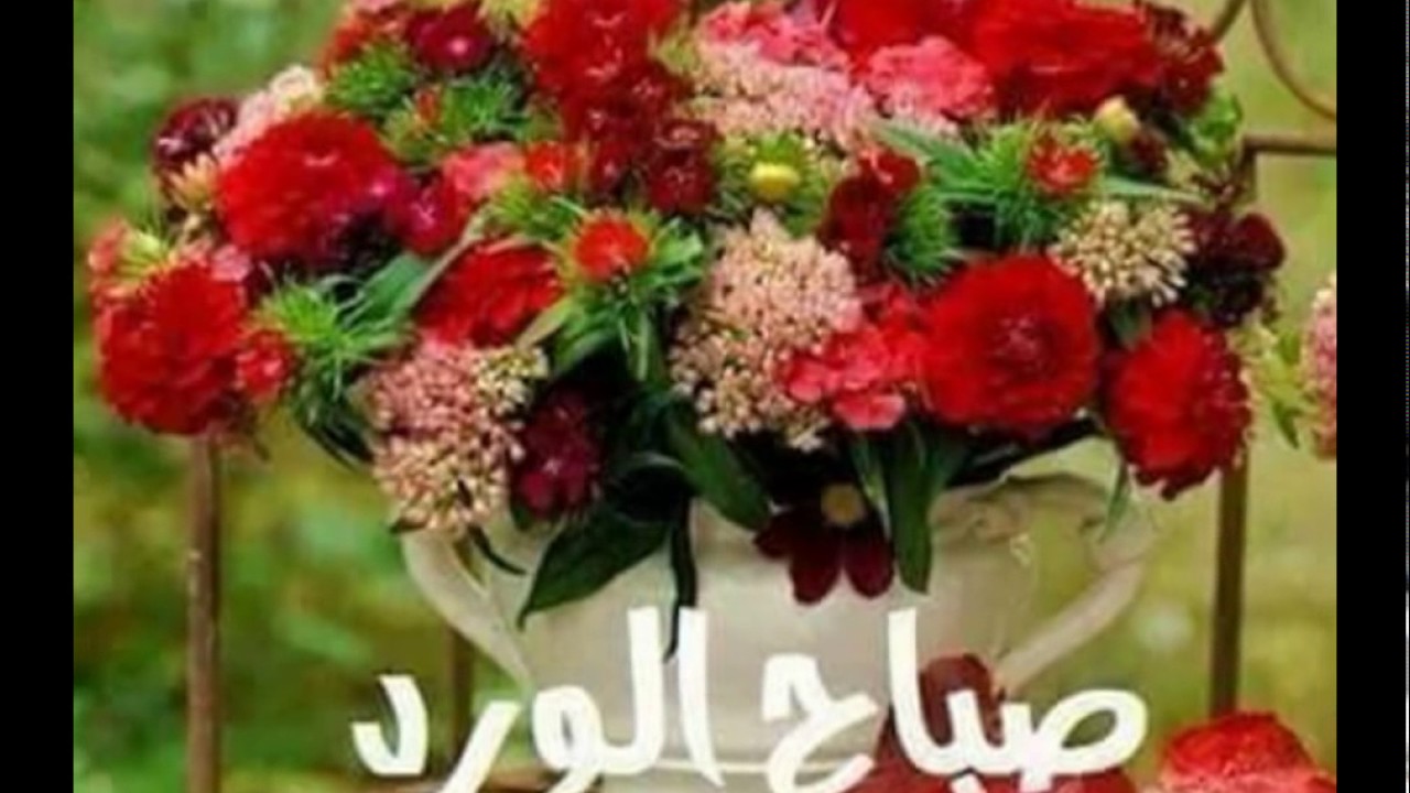 صور صباح ومساء - احلى صور صباحية ومسائية 5410 9