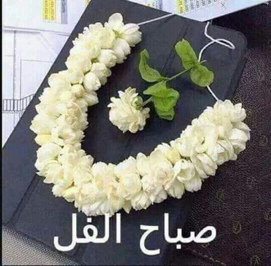 صباح الفل - صور روعة للصباح 2623