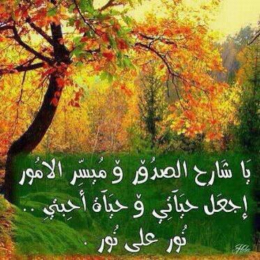 صورطبيعية مكتوب عليها 10976 3