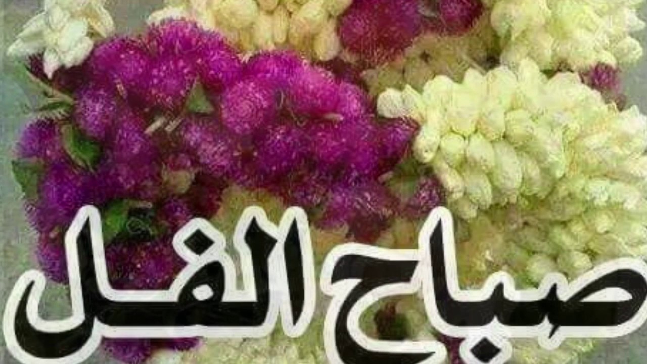 صباح الفل - صور روعة للصباح 2623 2