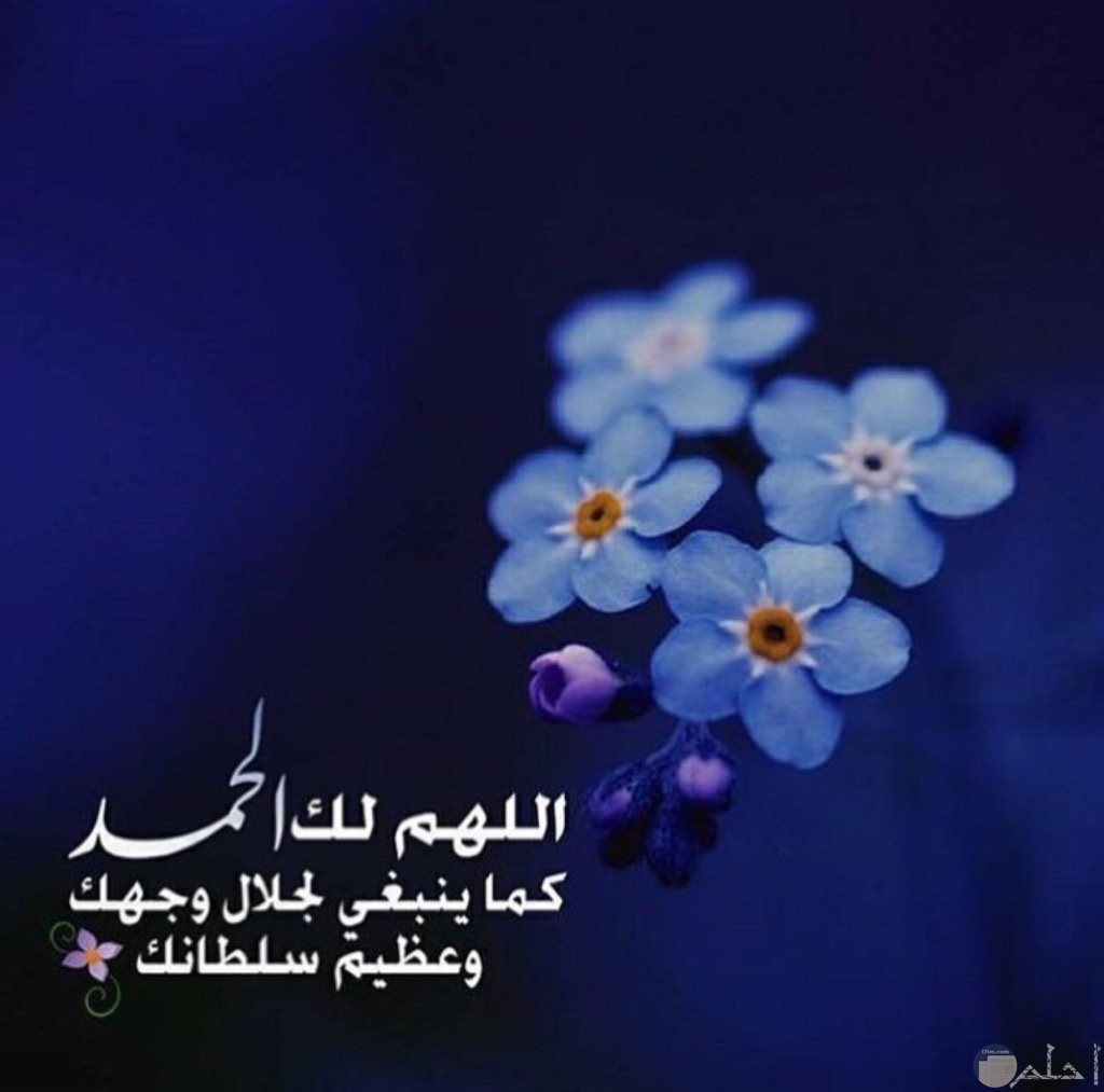 صور جميلة دينيه 11219 1