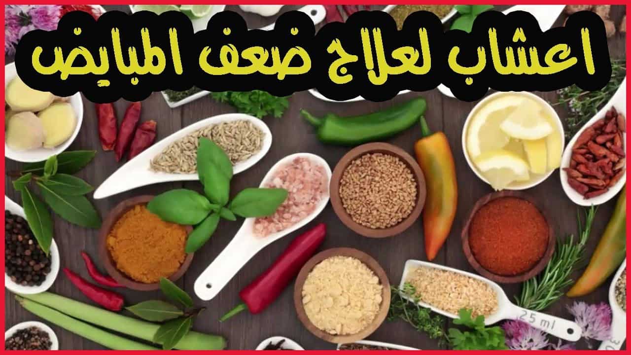 علاج ضعف المبايض , حلول للتغلب على ضعف المبايض