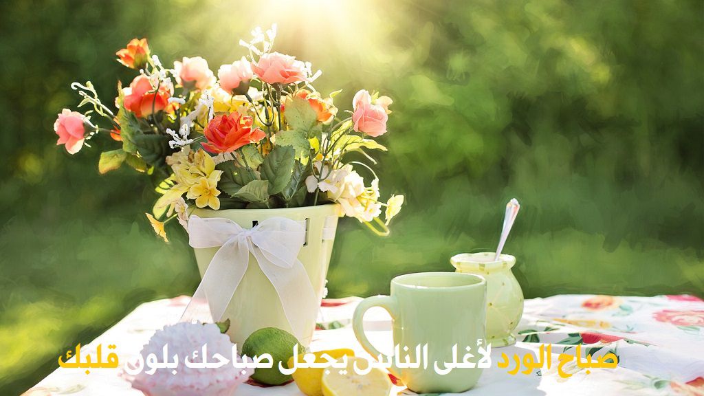 صباحك بلون عيونك - عبارات الصباح 2777