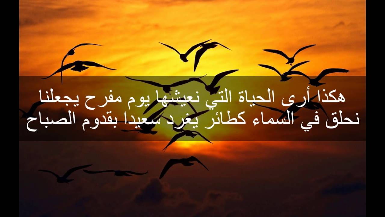 شعر عن السلم والسلام - ابيات شعريه عن السلام 11896