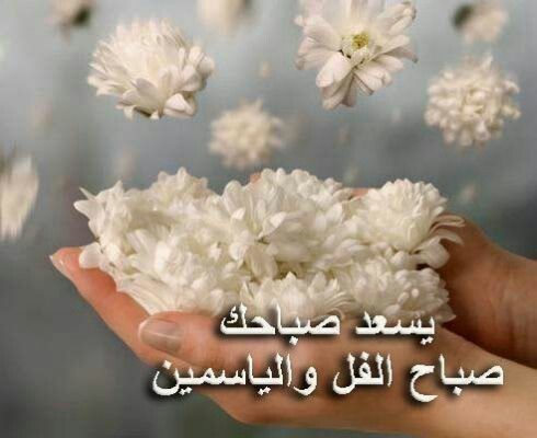 صباح الفل - صور روعة للصباح 2623 11