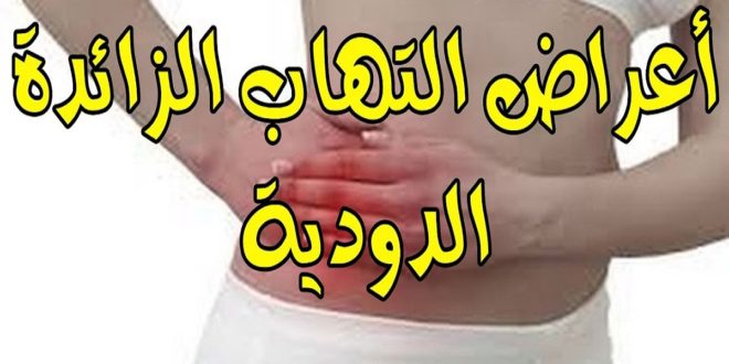 الزائدة الدودية - اعراضها وعملها 5359 2