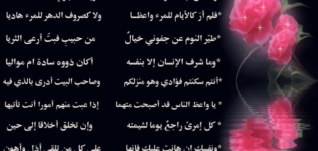 اجمل شعر عن الحب - اروع الاشعار عن الحب 908