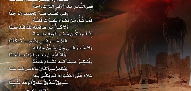 بيت شعر عن الصديق الغالي - اجمل شعر عن الصداقة 1002 8