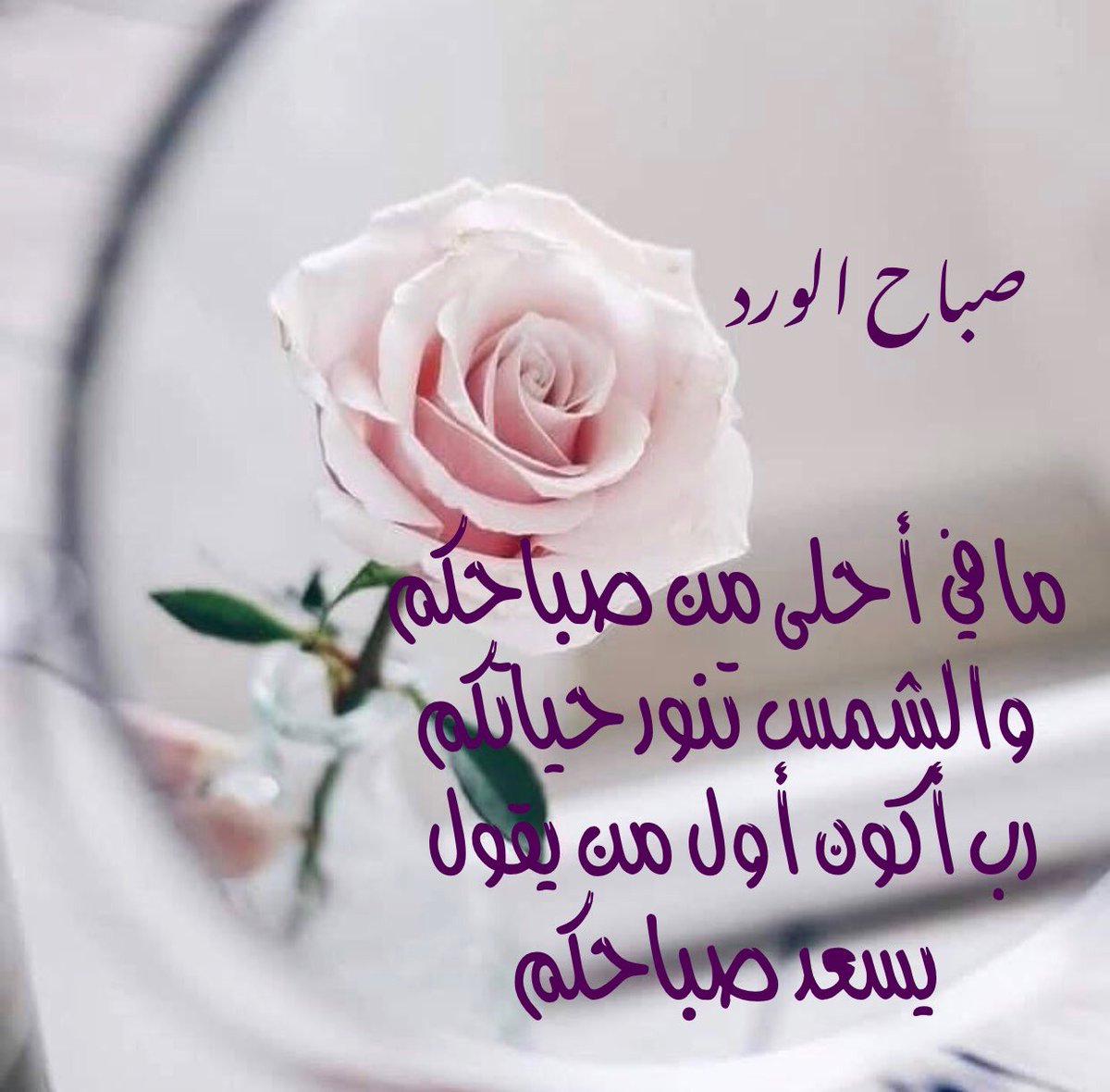 صورصباح الخير جديدة 11181 8