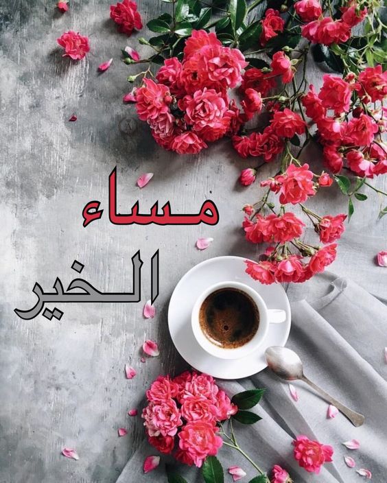 صور مساء الخير - اجمل التصميمات لمساء الخير 5985 11