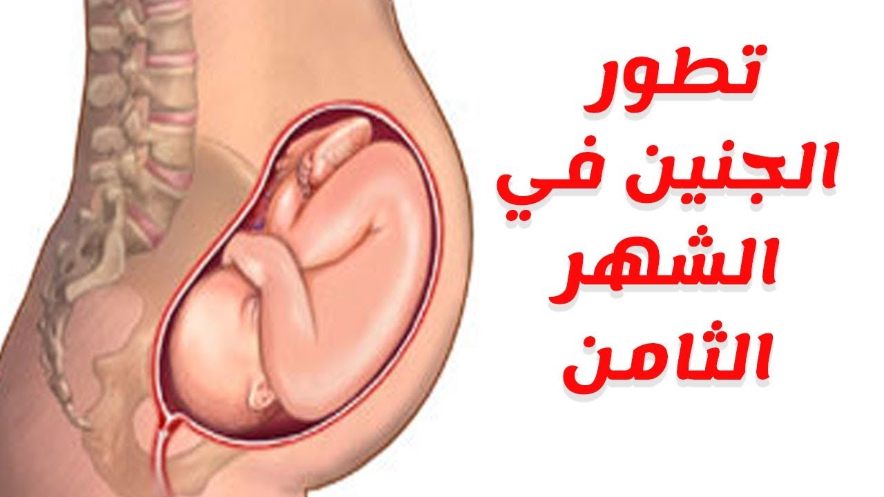 معلومات عن الحمل - الحمل واسهل ما تعرفينه عنه 11536 2