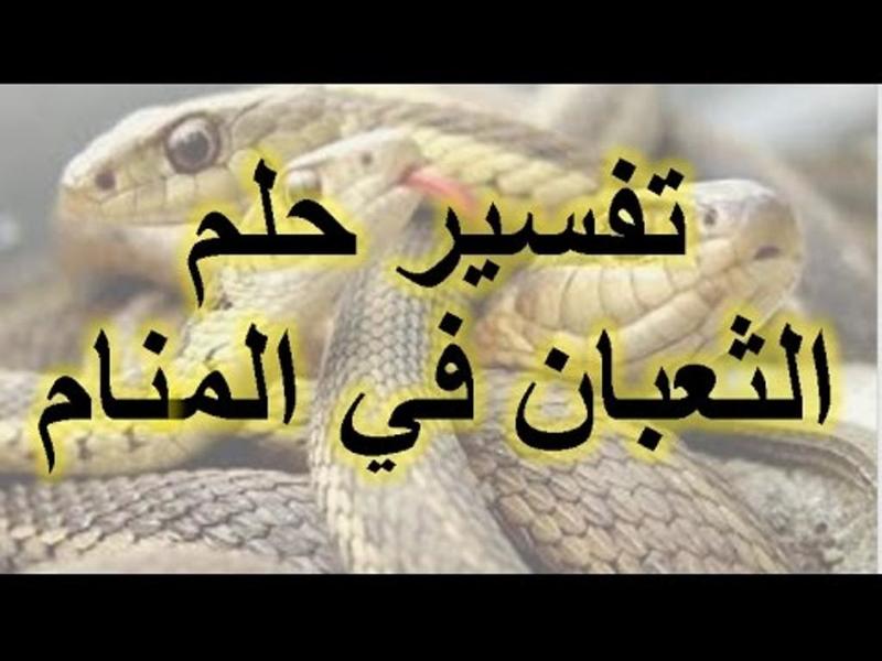 رؤية الحية في المنام , تفسير حلم الثعبان