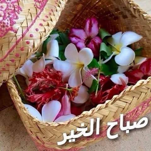 صباح الفل - صور روعة للصباح 2623 3