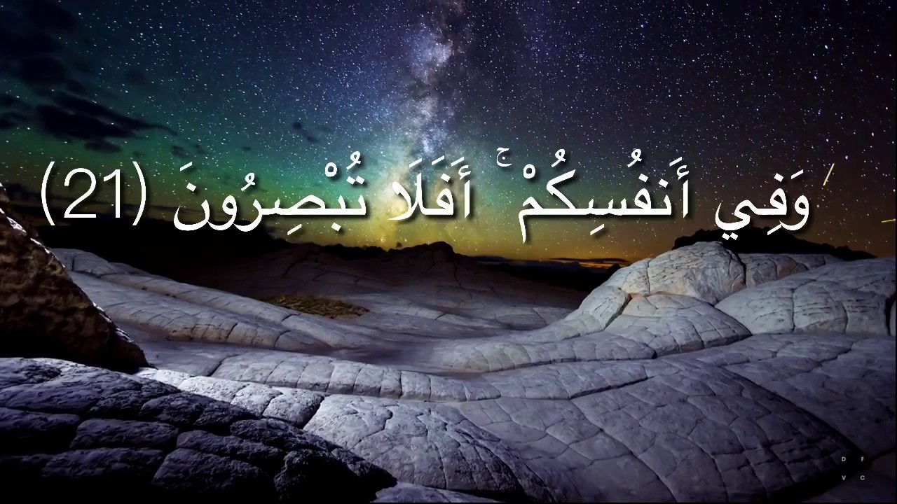 حالات واتس اب دينيه - اجدد واحدث حالات واتس إسلامية جميلة 6629 12