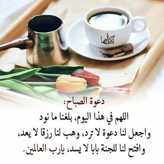 صور عن الصباح - اجمل رسائل صباحية 959 4