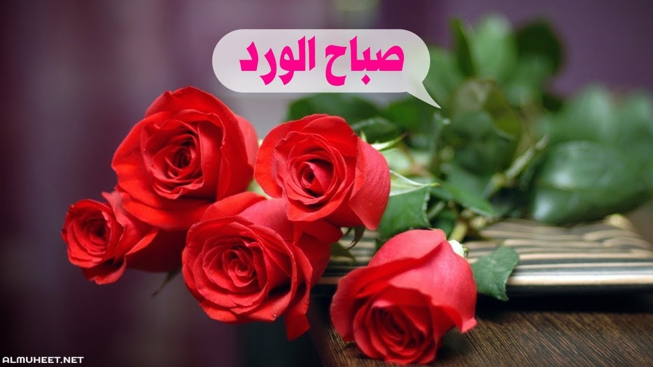 صباحك بلون عيونك - عبارات الصباح 2777 3