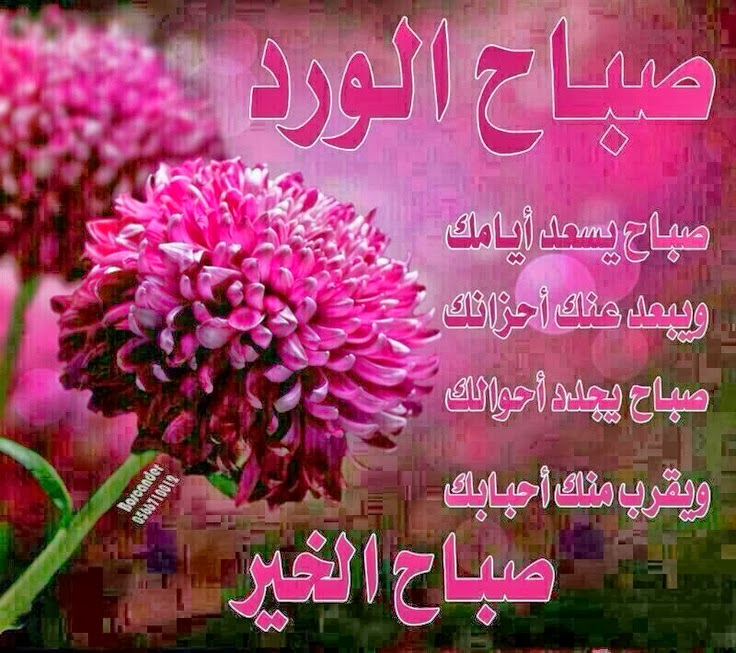 صور صباحيه جميله - احدث صور للصباح 4440 12