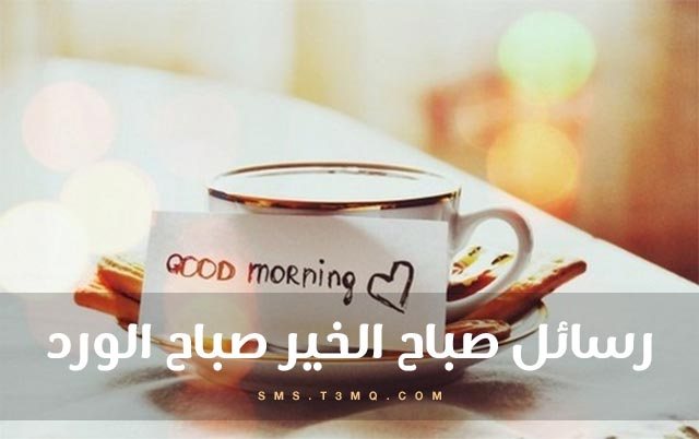 صباحك بلون عيونك - عبارات الصباح 2777 2