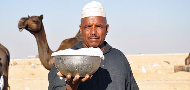 فوائد حليب الناقة , شرح لفوائد حليب الناقة