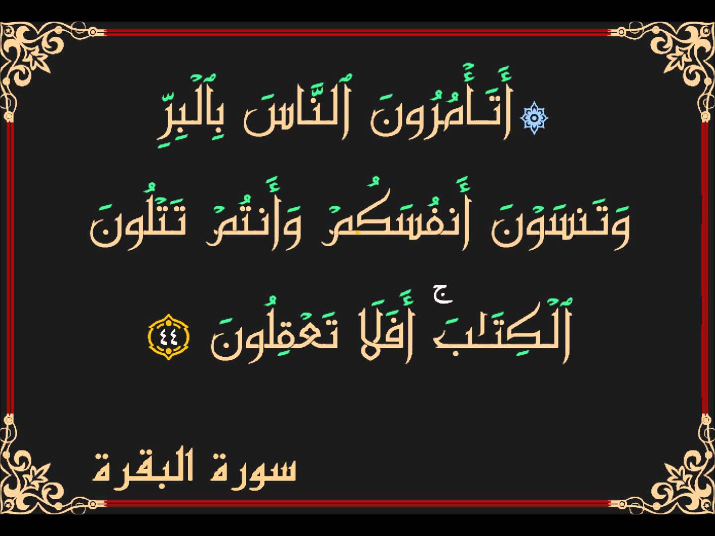 ايات قرانية عن العمل - اقوال من الحديث والسنة 3761 13