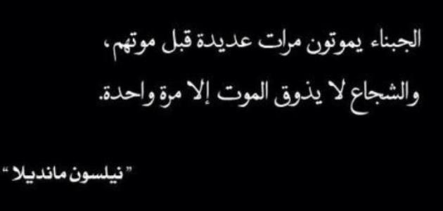 اقوال ونصائح , اجمل ماقيل عن حب الابناء