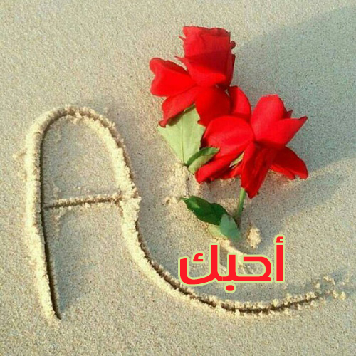 صور عن حرف A - اجمل صور حرف ال A 5594 3