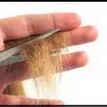 0 6 علاج تقصف الشعر - مشاكل الشعر في الصيف كوكب رسيل