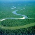 6149 12 اكبر نهر في العالم - صور لنهر الامازون اكبر نهر في العالم طروب صارم
