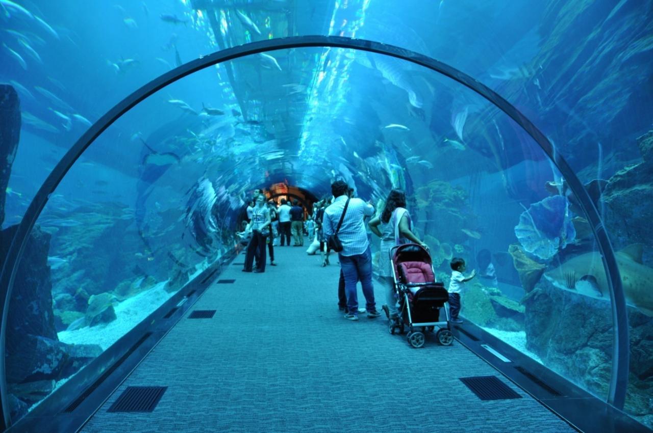 1291 2 اماكن سياحية في دبي للعائلات - ابرز معالم الامارات السياحية لمياء