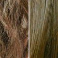 11049 1 علاج الشعر الجاف والمتقصف ثبات شفاء